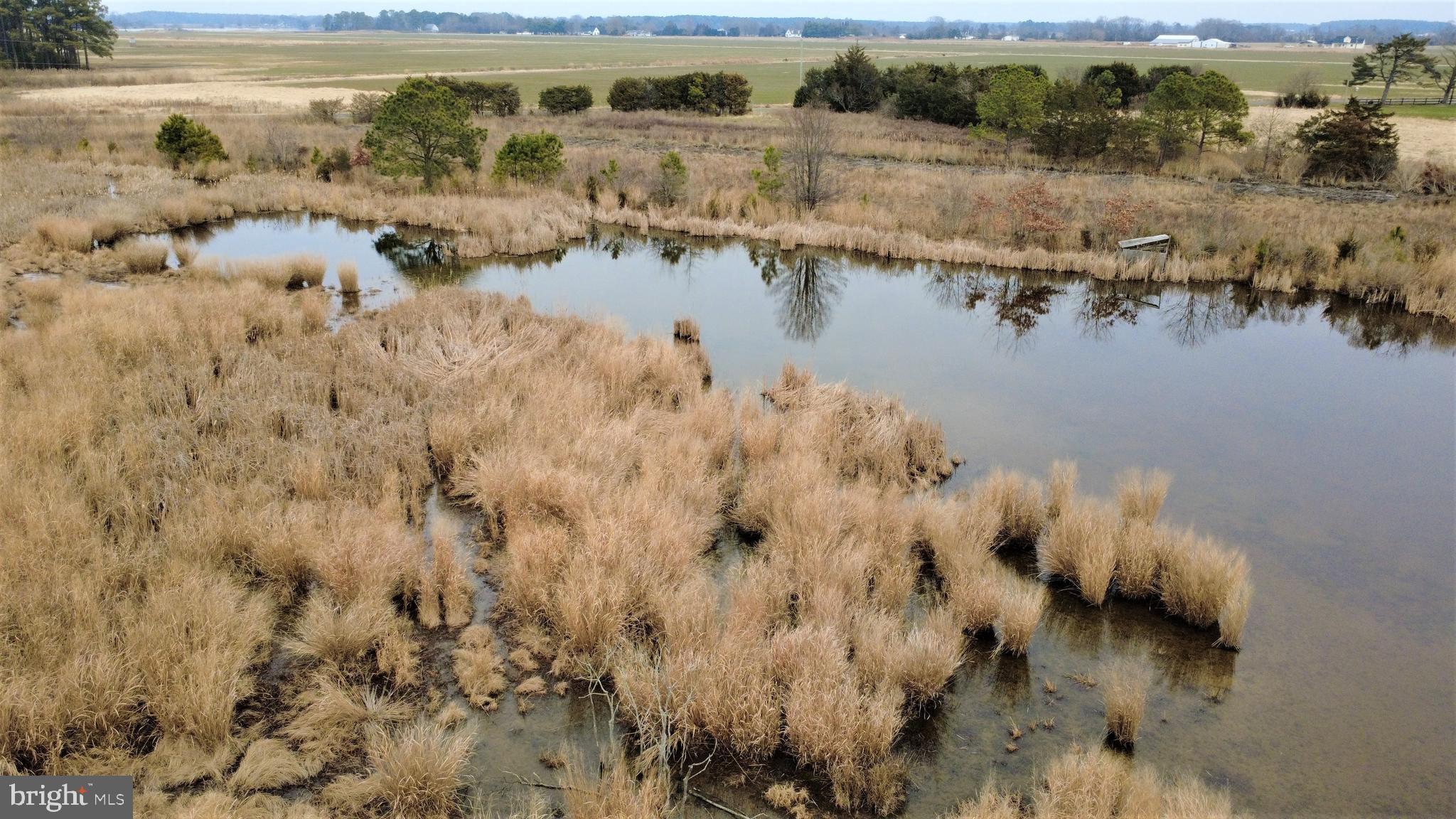 1829 Brannock Neck Road Cambridge, MD 21613 - Photo 45 of 55 a view of ocean with green space