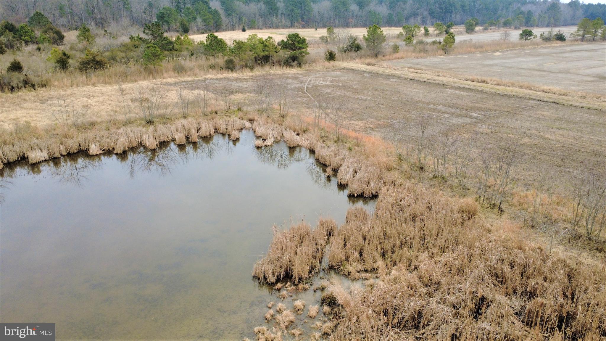 1829 Brannock Neck Road Cambridge, MD 21613 - Photo 46 of 55 a view of lake