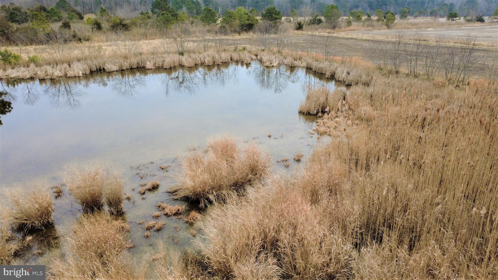 1829 Brannock Neck Road Cambridge, MD 21613 - Photo 47 of 55 a view of a lake from a yard