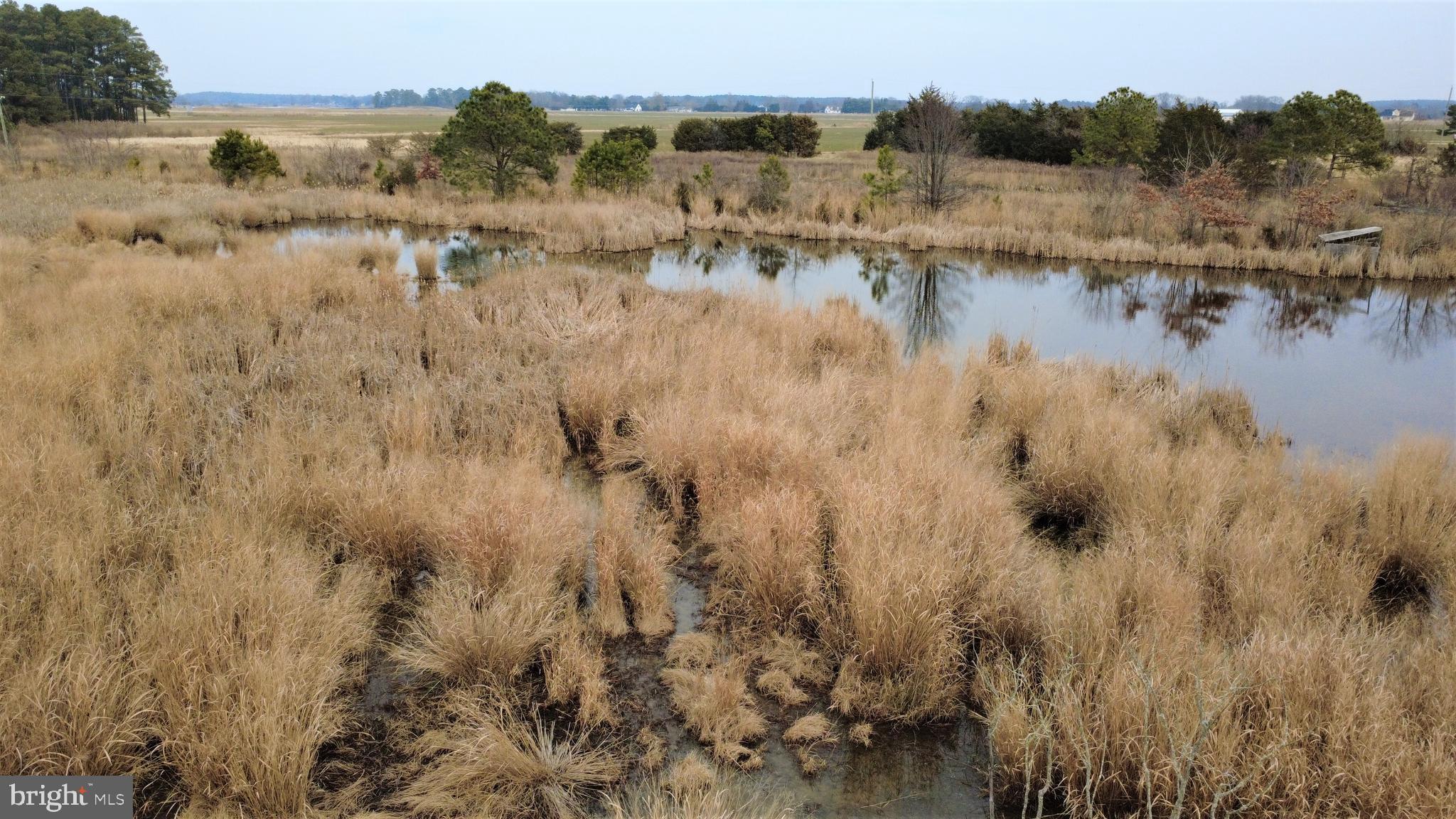1829 Brannock Neck Road Cambridge, MD 21613 - Photo 48 of 55 a view of lake and mountain