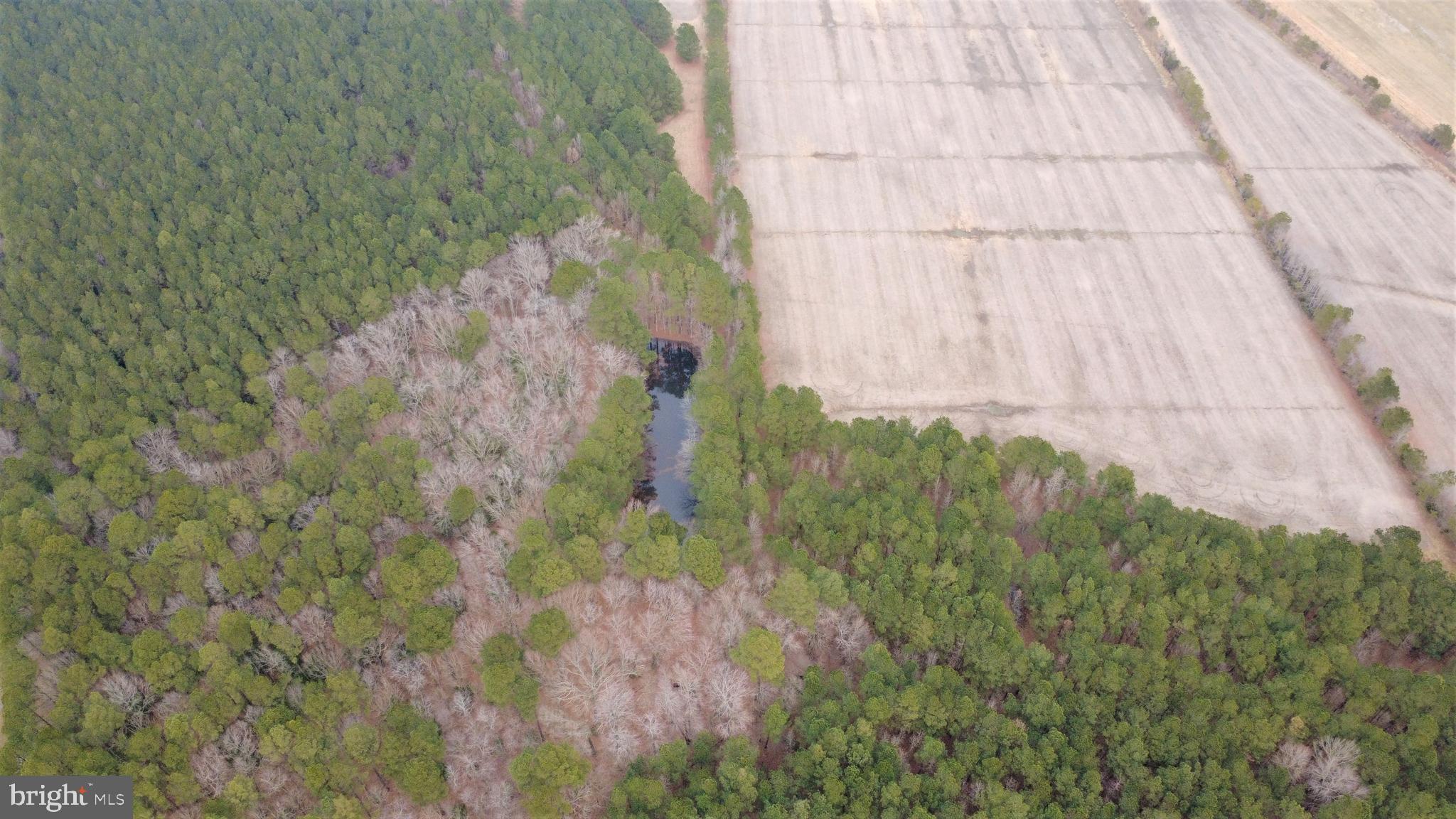 1829 Brannock Neck Road Cambridge, MD 21613 - Photo 5 of 55 a view of a yard