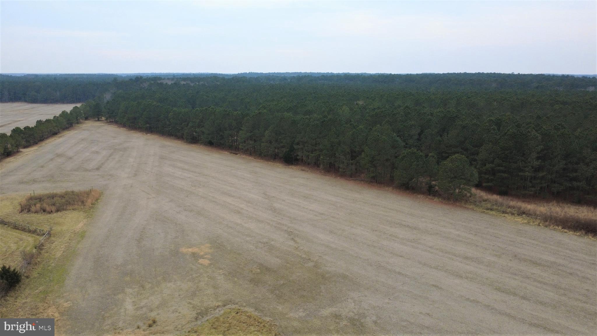 1829 Brannock Neck Road Cambridge, MD 21613 - Photo 52 of 55 a view of a dry yard with wooden fence