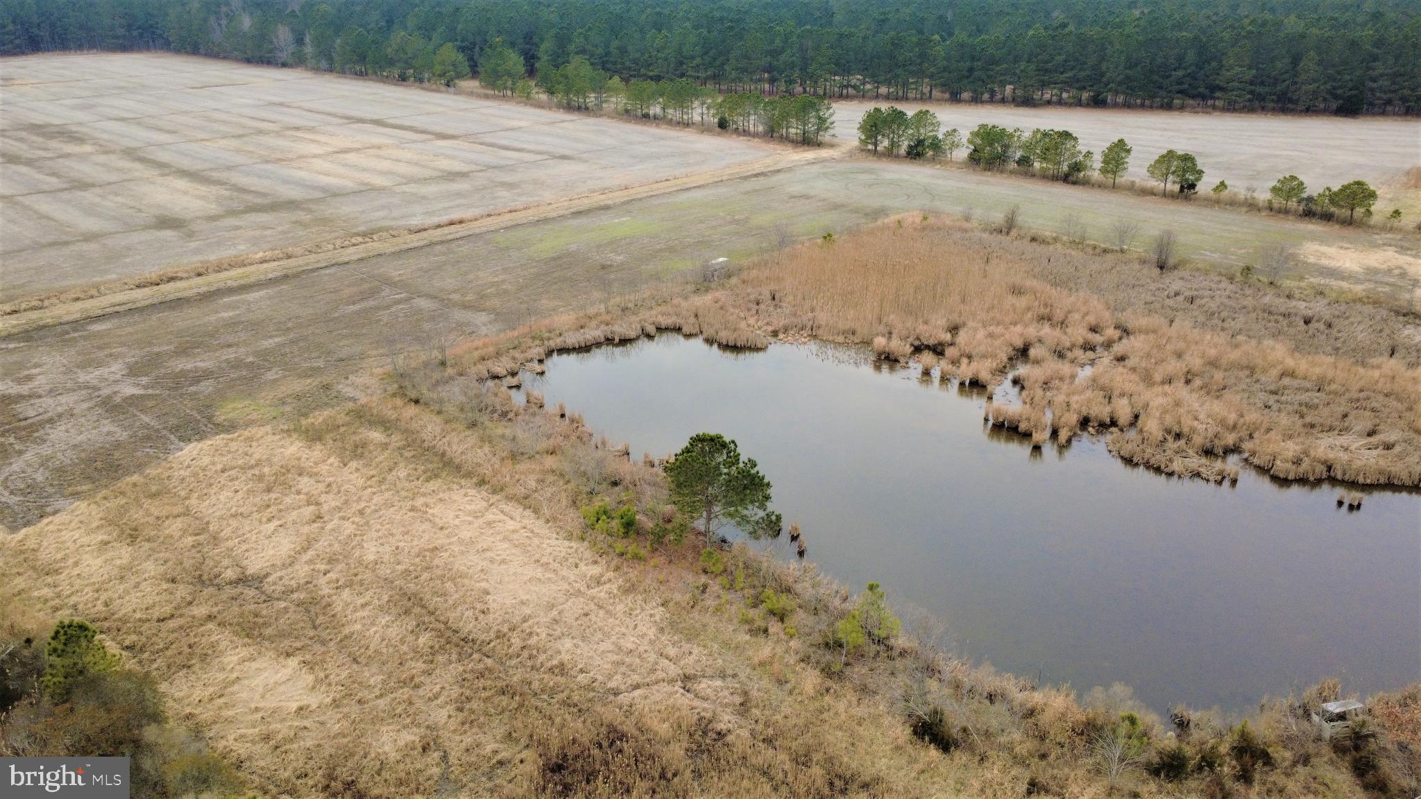 1829 Brannock Neck Road Cambridge, MD 21613 - Photo 6 of 55 a view of lake view with beach