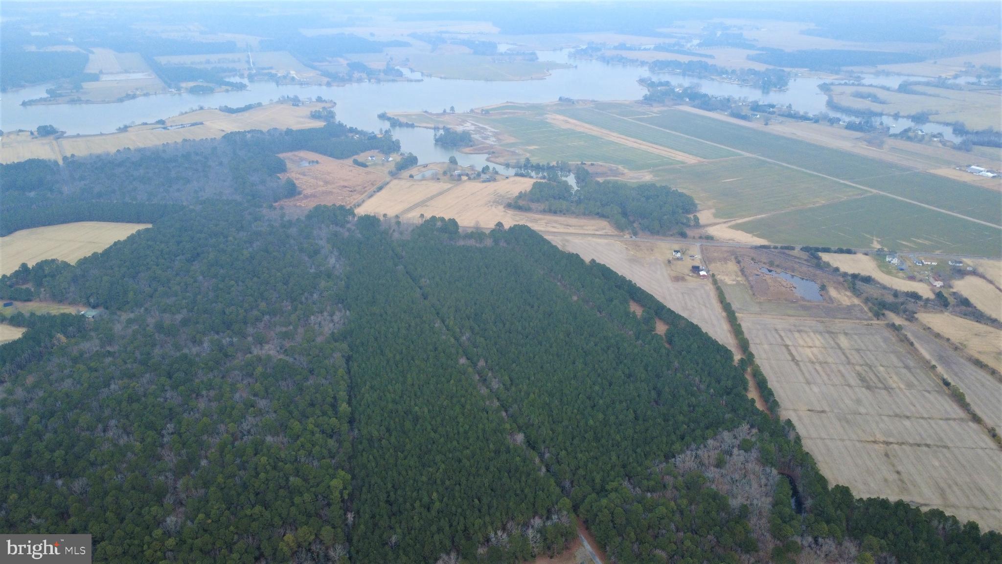 1829 Brannock Neck Road Cambridge, MD 21613 - Photo 10 of 55 a view of beach and small space