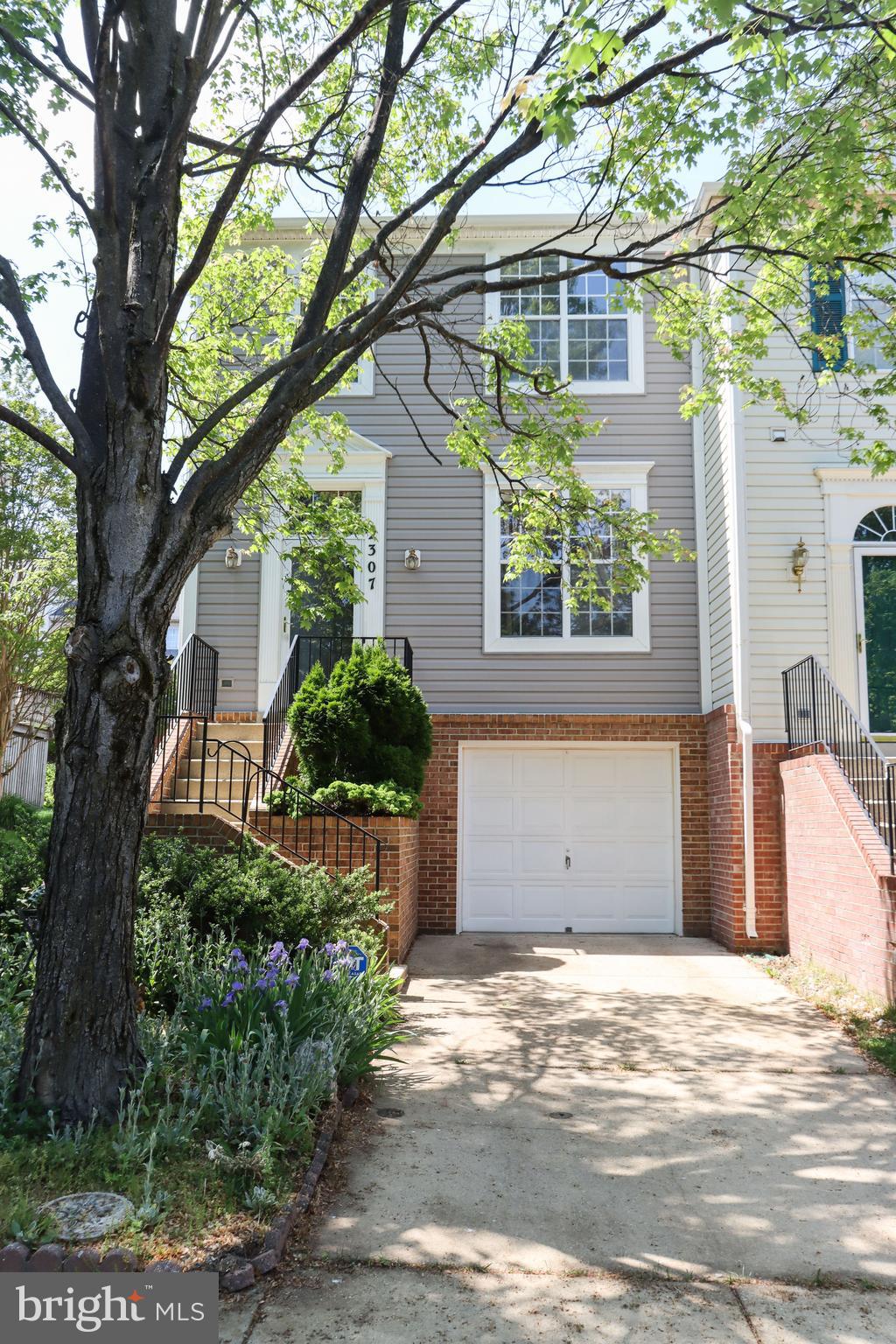 2307 Massanutten Drive Silver Spring, MD 20906 - Photo 3 of 4