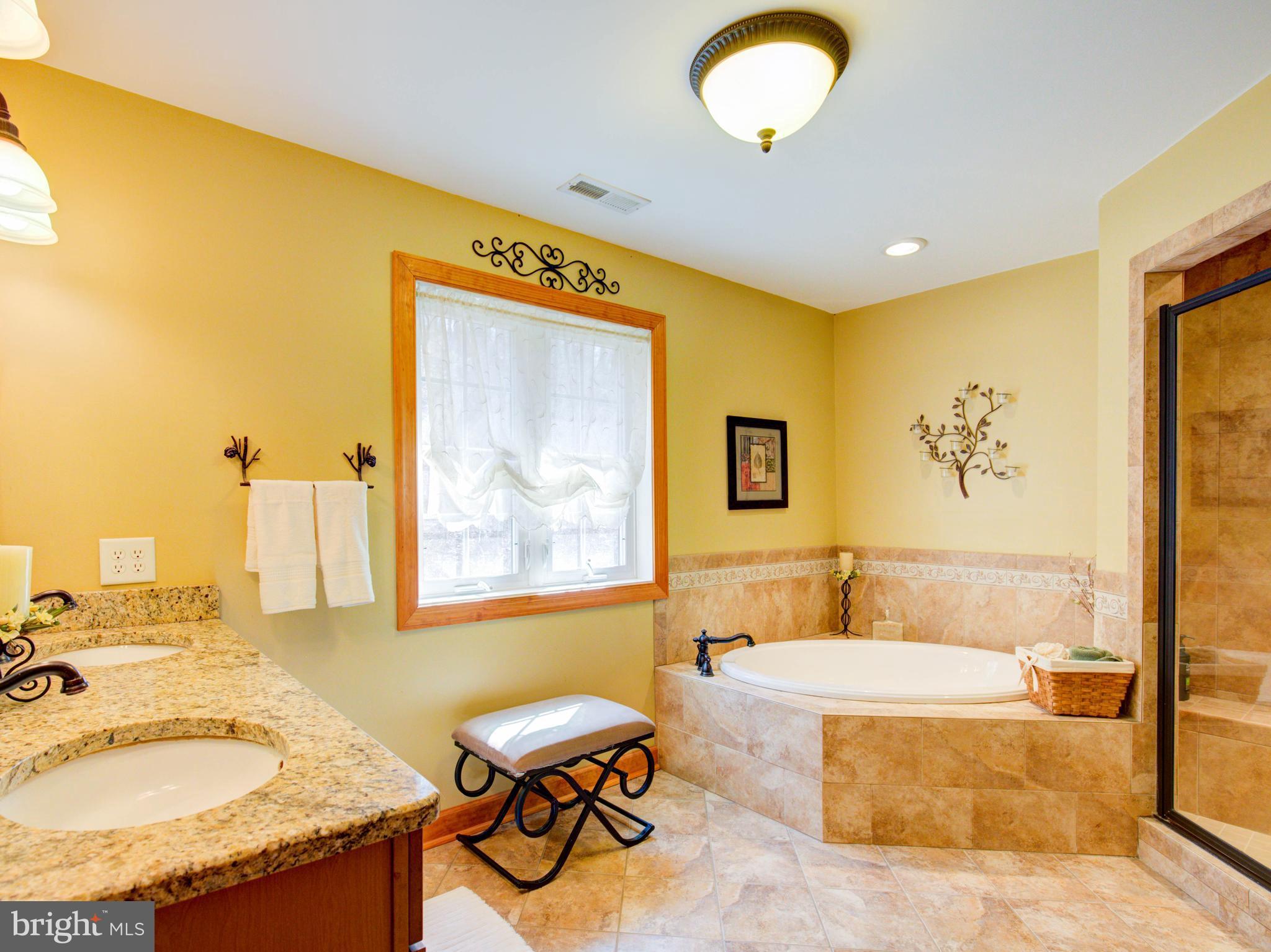 1174 Perry Road Winchester, VA 22602 - Photo 15 of 25 Bath (Master)