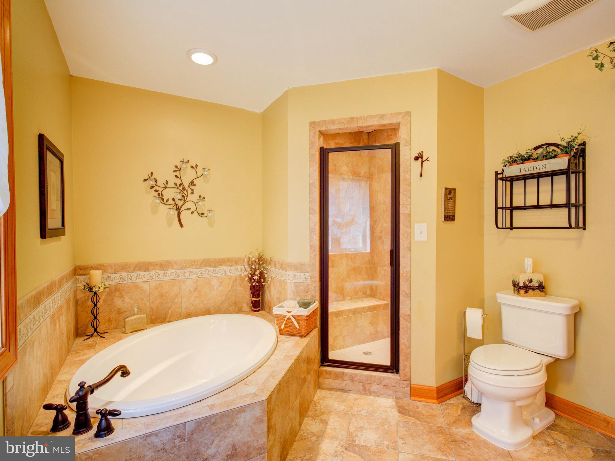1174 Perry Road Winchester, VA 22602 - Photo 16 of 25 Bath (Master)