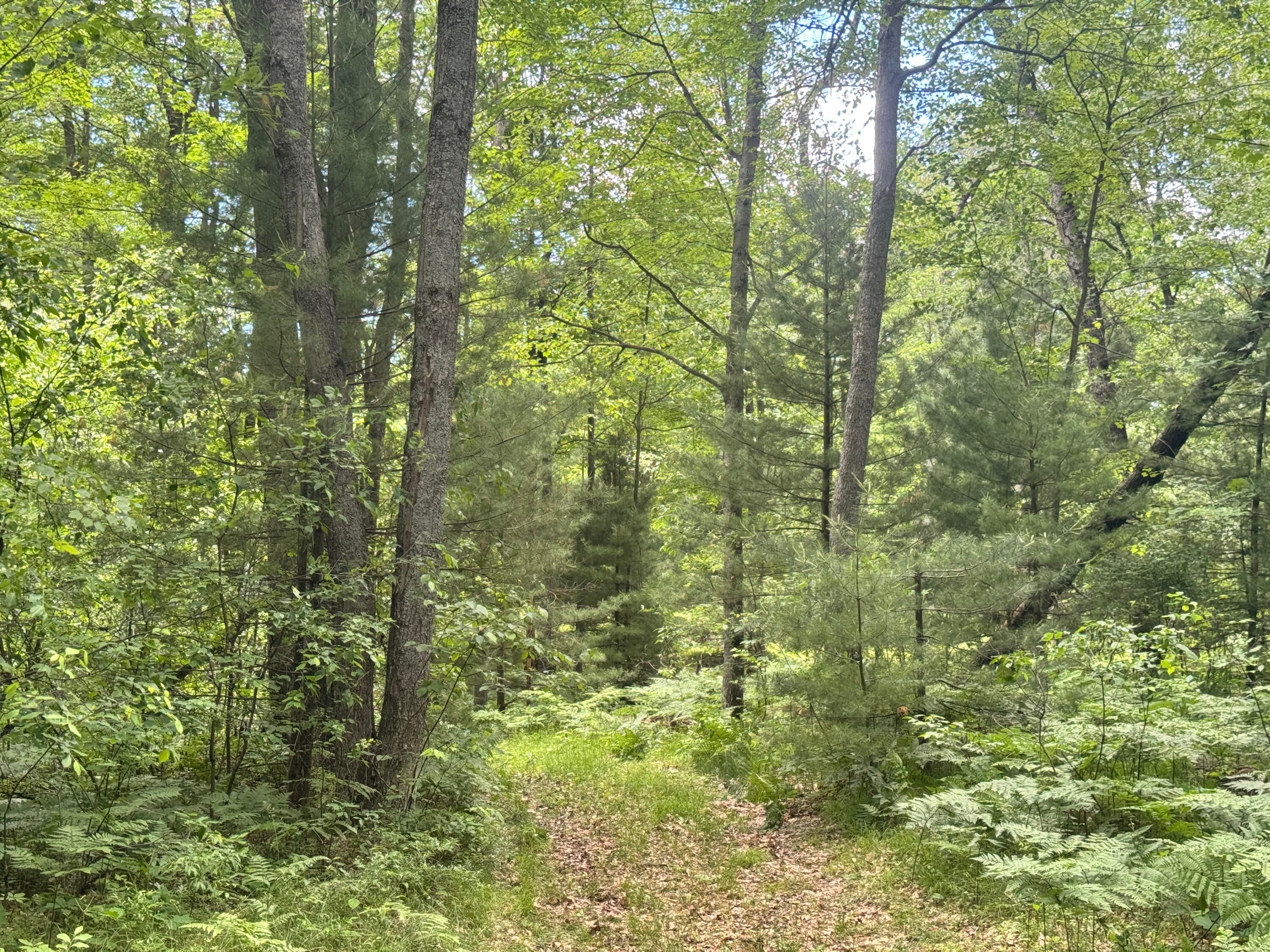 1479 Stoney Ridge Road West Branch, MI 48661 - Photo 12 of 18 Gallery Image 12