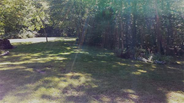 56 Baldpate Road Georgetown, MA 01833 - Photo 27 of 30 a view of a trees with a yard