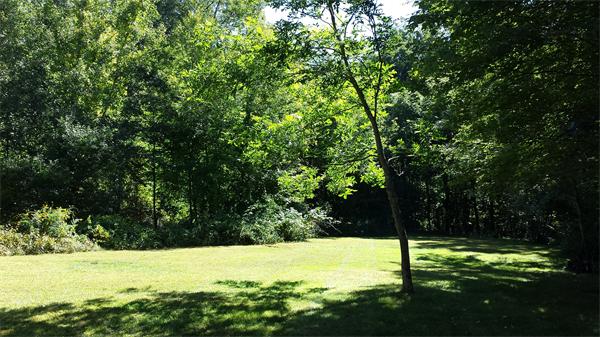 56 Baldpate Road Georgetown, MA 01833 - Photo 28 of 30 a view of field with large trees