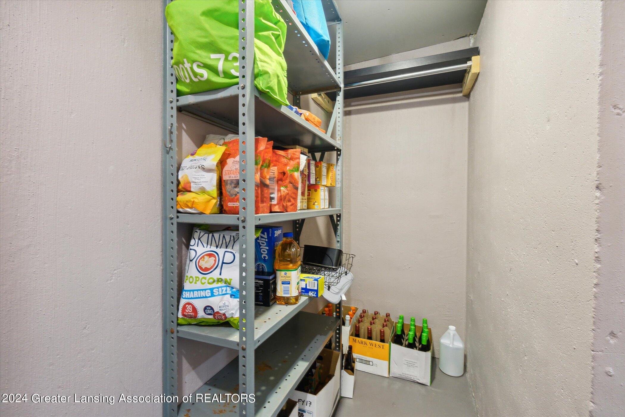 1352 Sebewaing Road Okemos, MI 48864 - Photo 36 of 48 Basement Pantry