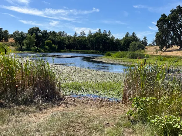 a view of a water pond with green yard