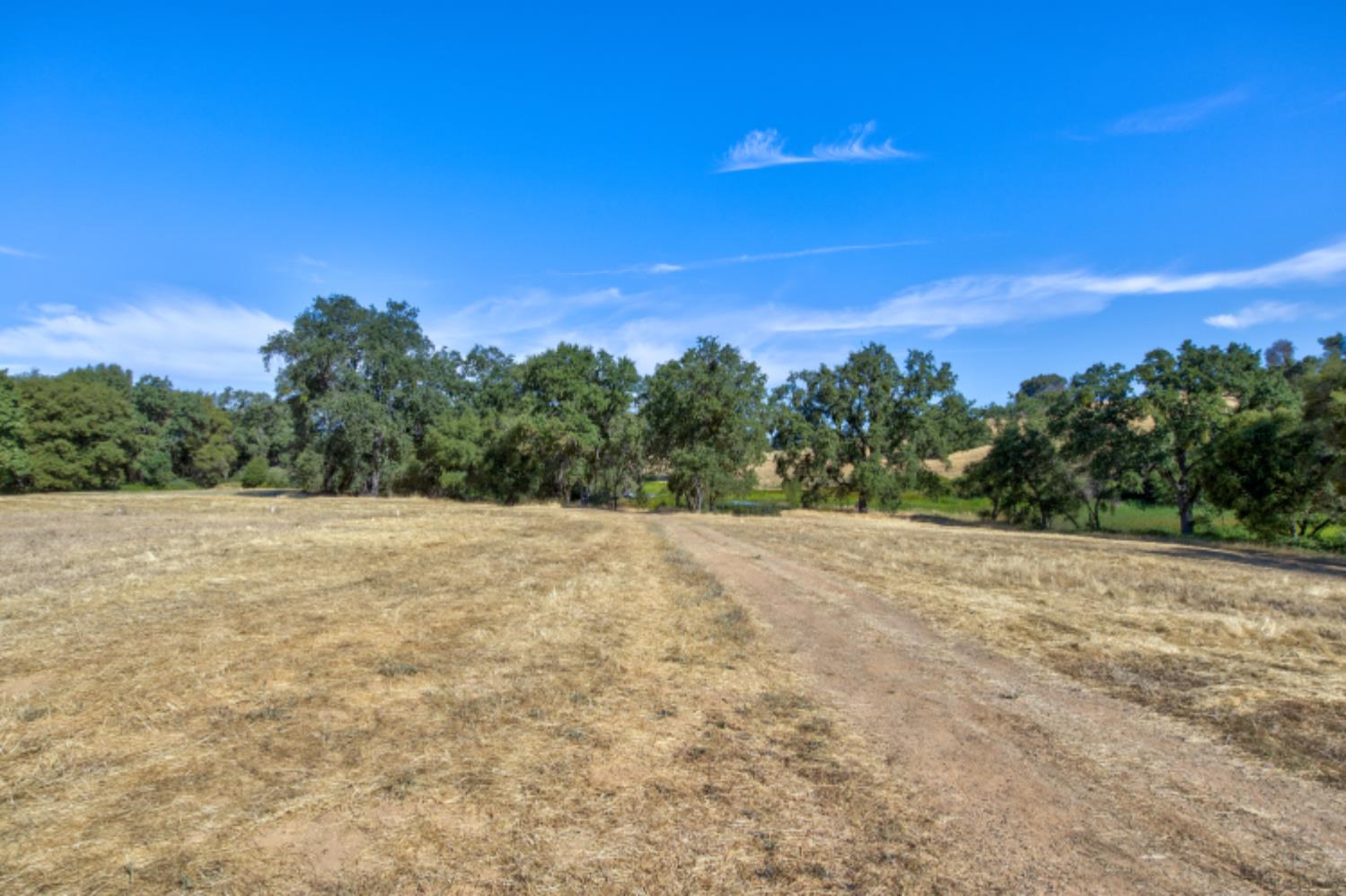 13555 Oakstream Road Plymouth, CA 95669 - Photo 13 of 43 a view of a yard with a tree