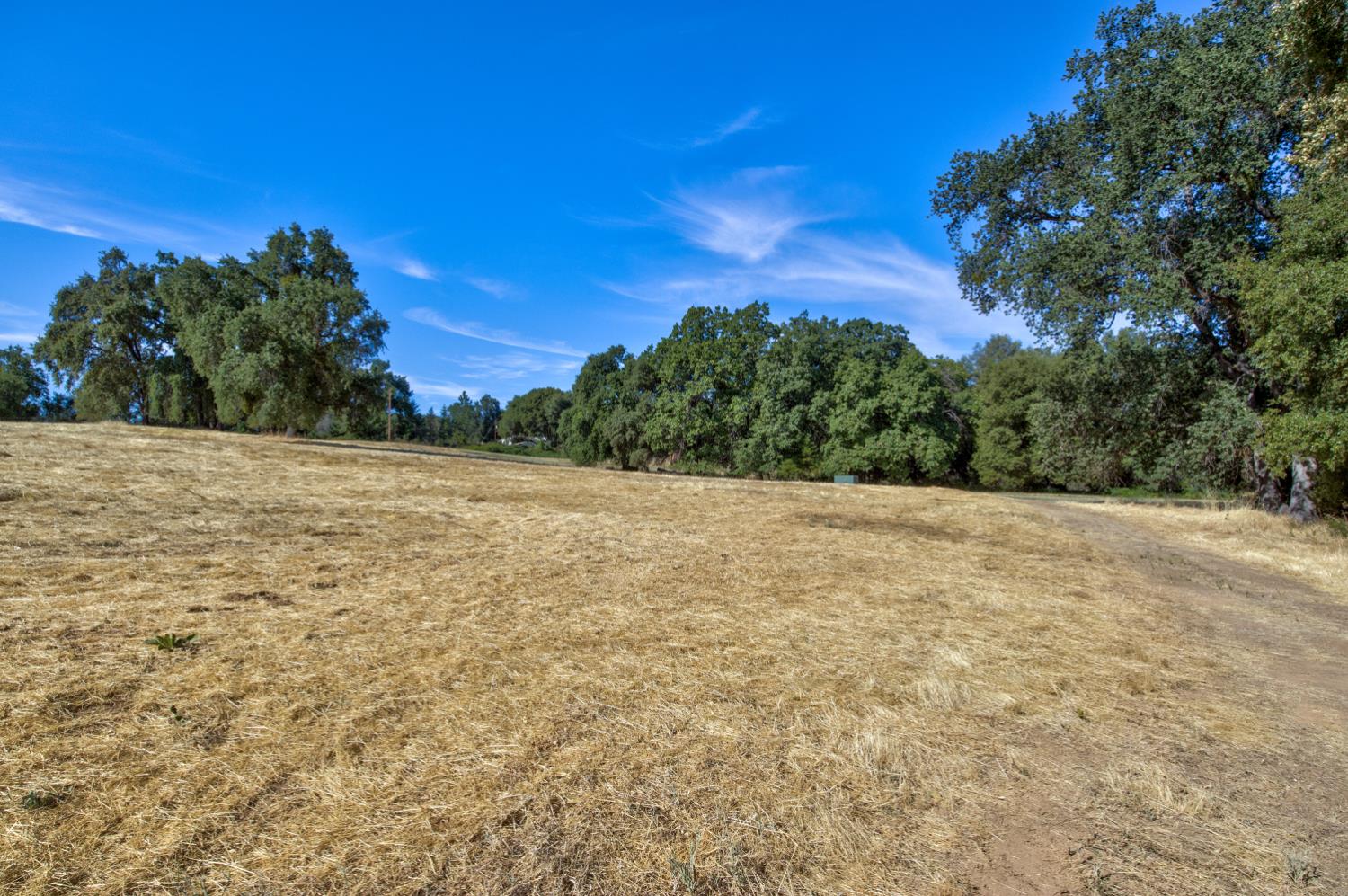 13555 Oakstream Road Plymouth, CA 95669 - Photo 14 of 43 a view of a yard with a tree