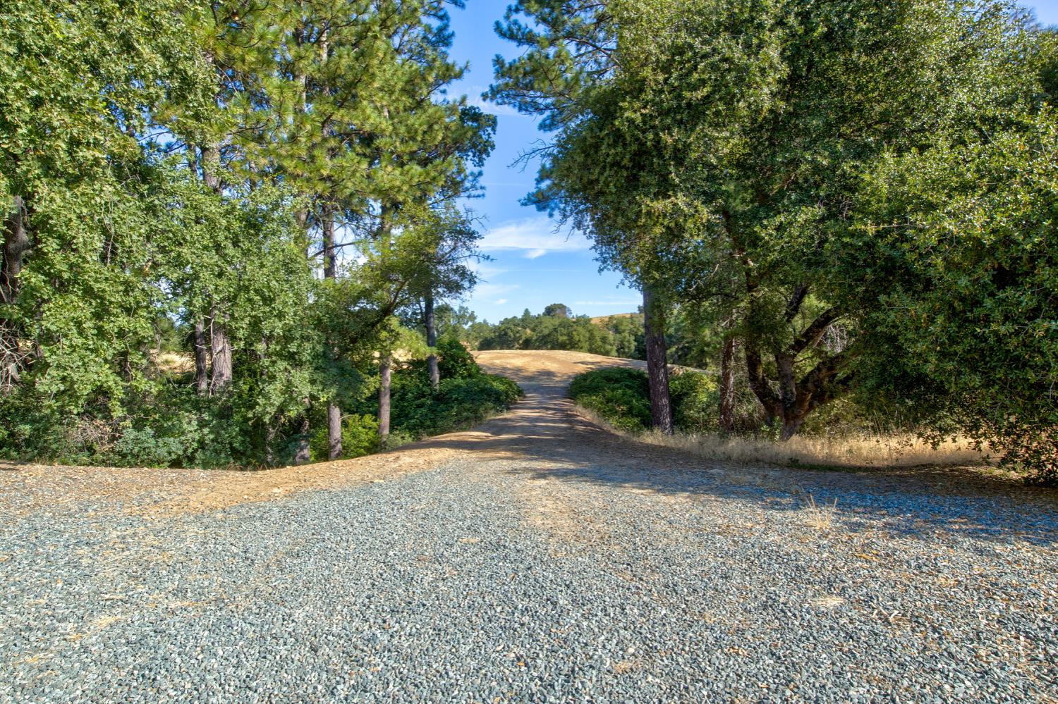 13555 Oakstream Road Plymouth, CA 95669 - Photo 20 of 43 a view of a yard with a tree