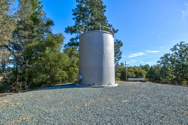 a view of a yard with potted plants and big trees