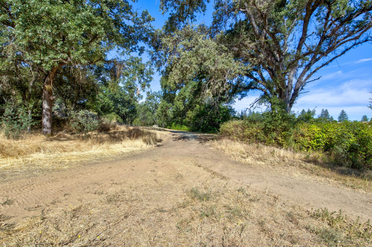 13555 Oakstream Road Plymouth, CA 95669 - Photo 25 of 43 a view of a yard with a tree