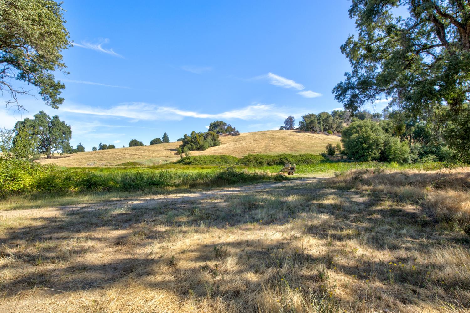 13555 Oakstream Road Plymouth, CA 95669 - Photo 26 of 43 a view of a yard with a tree