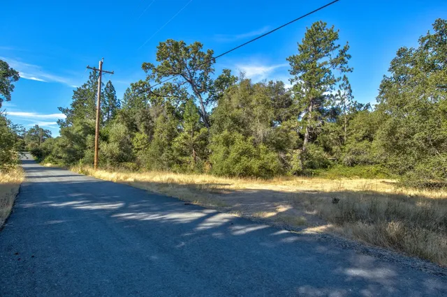 a view of a yard with an tree