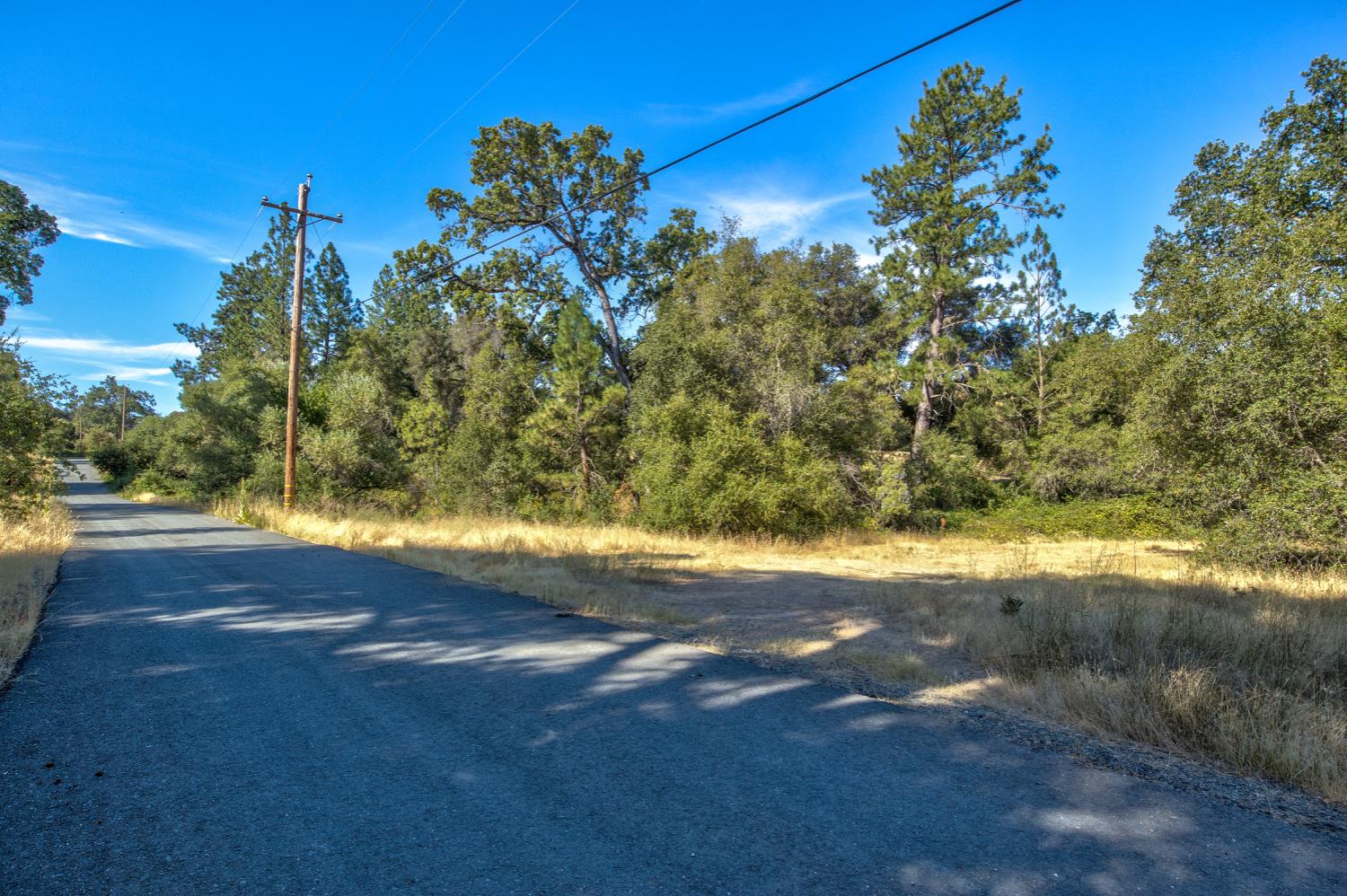 13555 Oakstream Road Plymouth, CA 95669 - Photo 32 of 43 a view of a yard with an tree