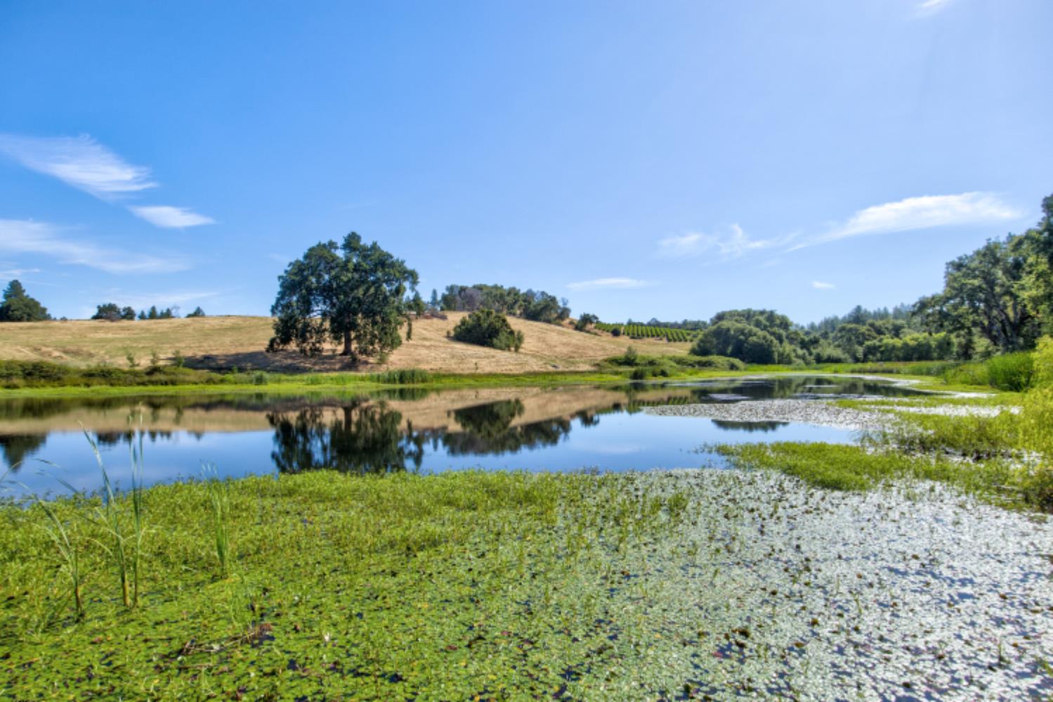 13555 Oakstream Road Plymouth, CA 95669 - Photo 33 of 43 a view of a lake with houses in the back