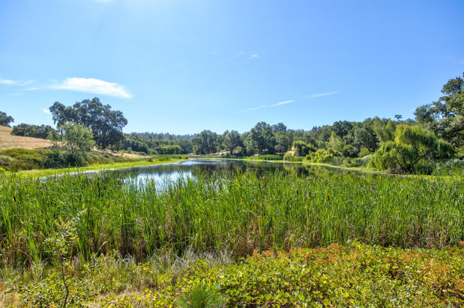 13555 Oakstream Road Plymouth, CA 95669 - Photo 34 of 43 a view of lake with green space