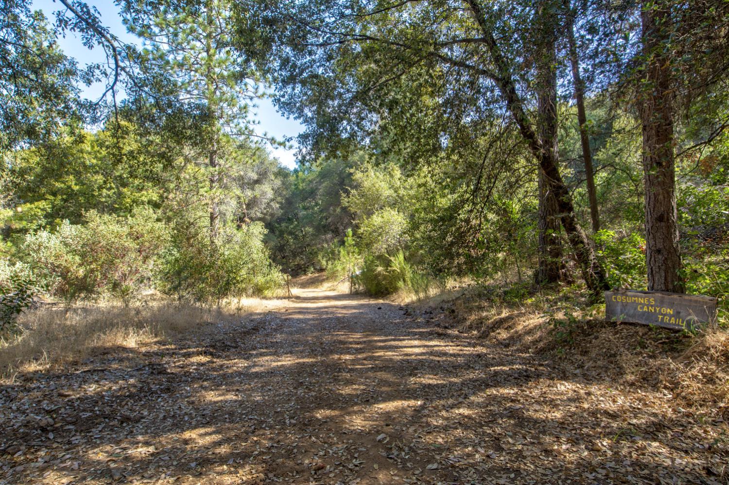 13555 Oakstream Road Plymouth, CA 95669 - Photo 35 of 43 a view of a yard with a tree