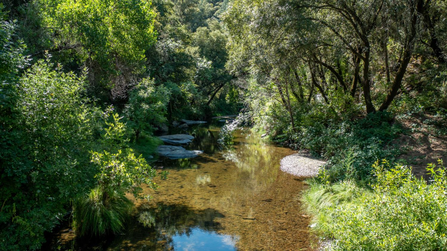 13555 Oakstream Road Plymouth, CA 95669 - Photo 36 of 43 a garden view