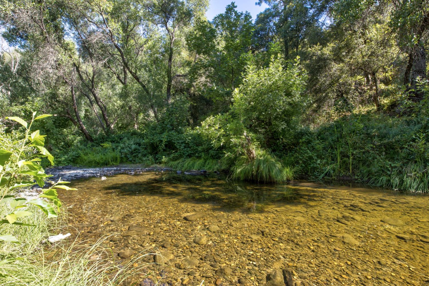 13555 Oakstream Road Plymouth, CA 95669 - Photo 38 of 43 a backyard of a house with lots of green space