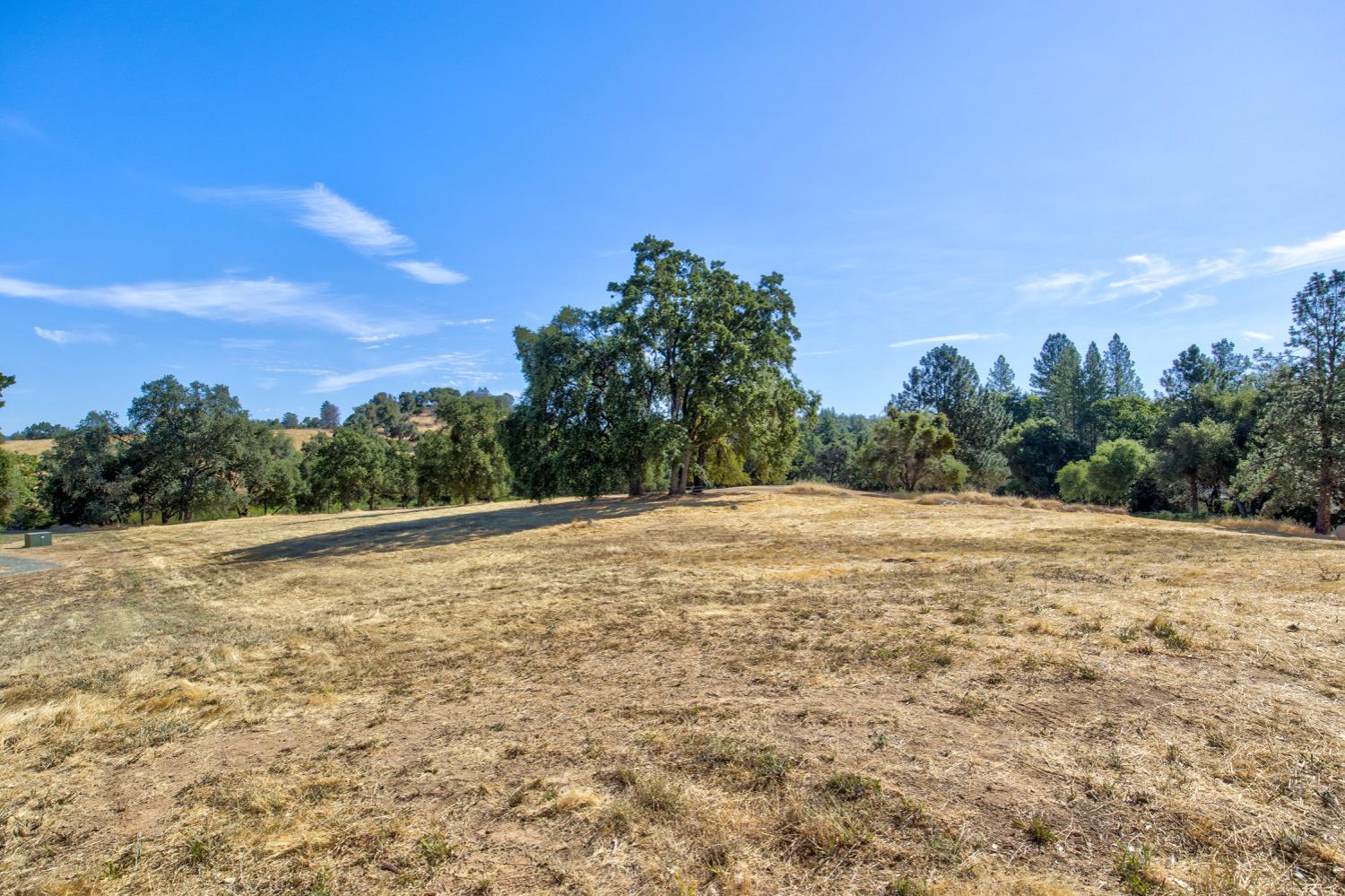 13555 Oakstream Road Plymouth, CA 95669 - Photo 4 of 43 a view of a field with trees in the background