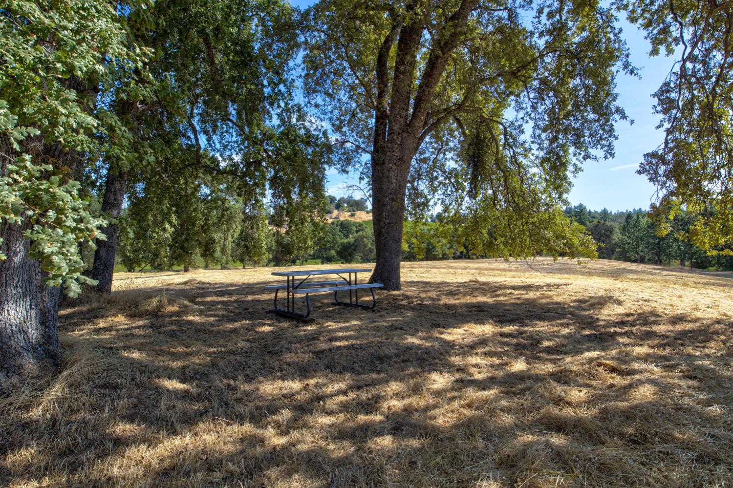13555 Oakstream Road Plymouth, CA 95669 - Photo 5 of 43 a view of backyard space with trees