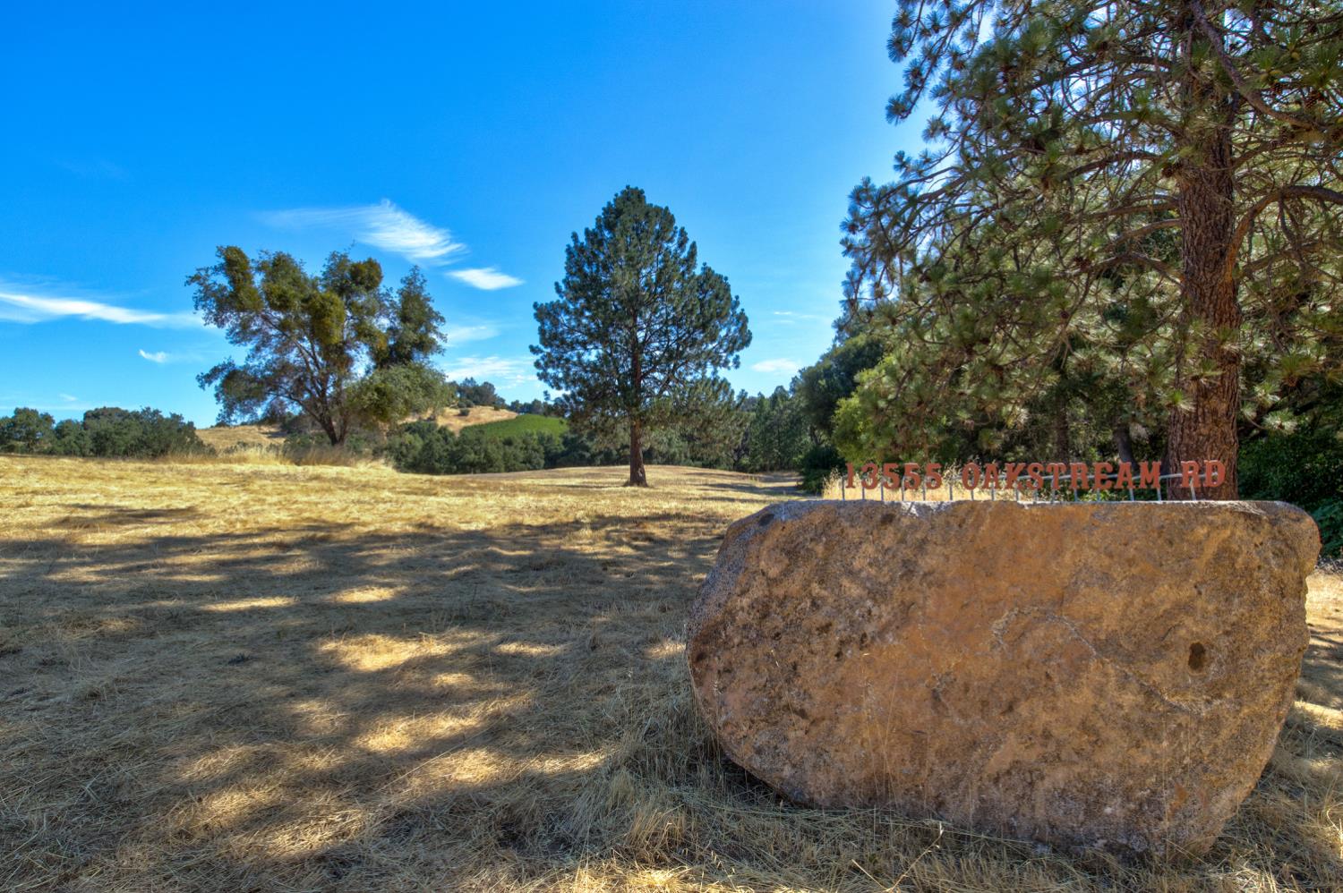 13555 Oakstream Road Plymouth, CA 95669 - Photo 8 of 43 a view of a yard with an outdoor space