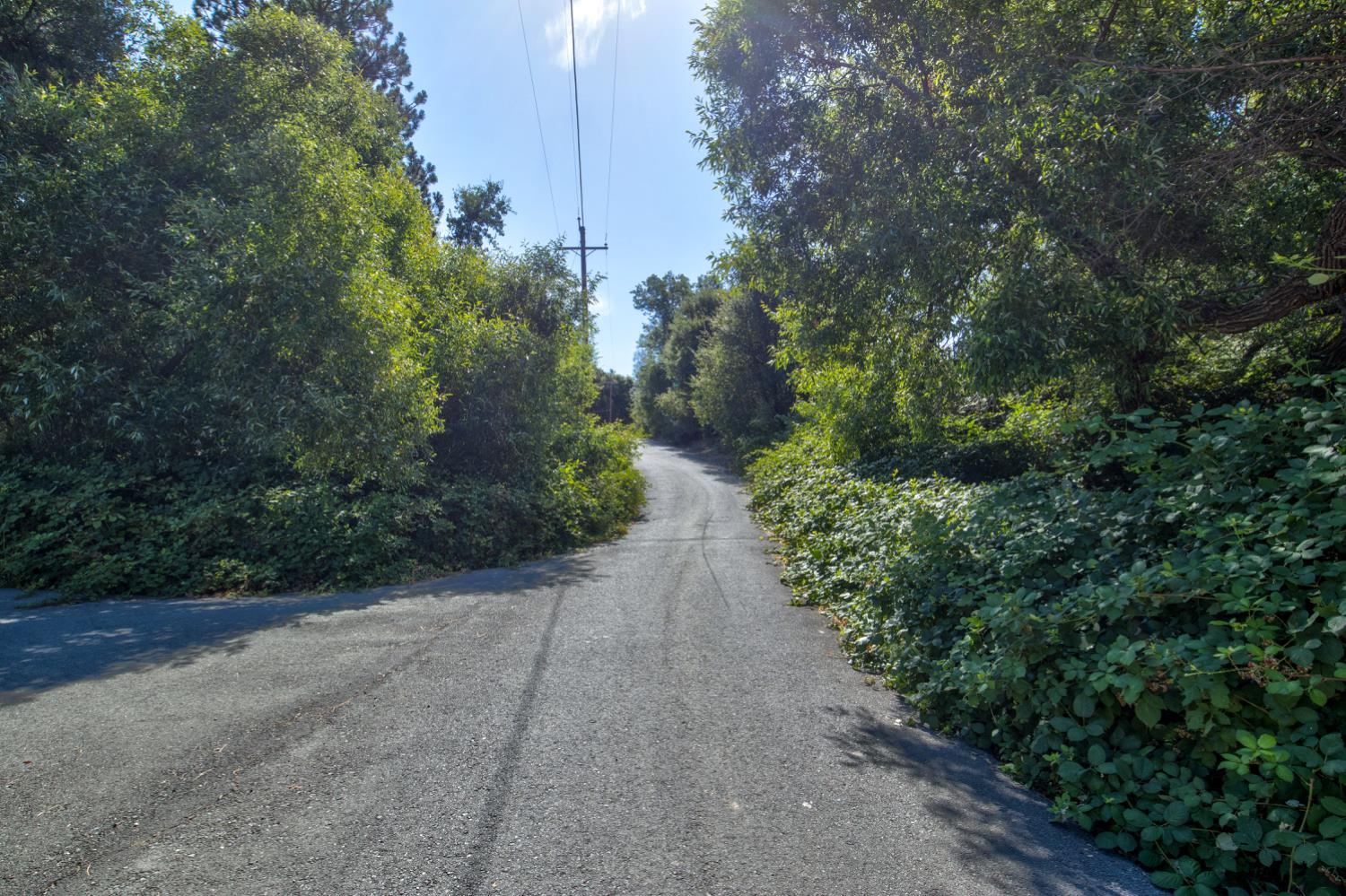 13555 Oakstream Road Plymouth, CA 95669 - Photo 9 of 43 a view of a pathway both side of yard