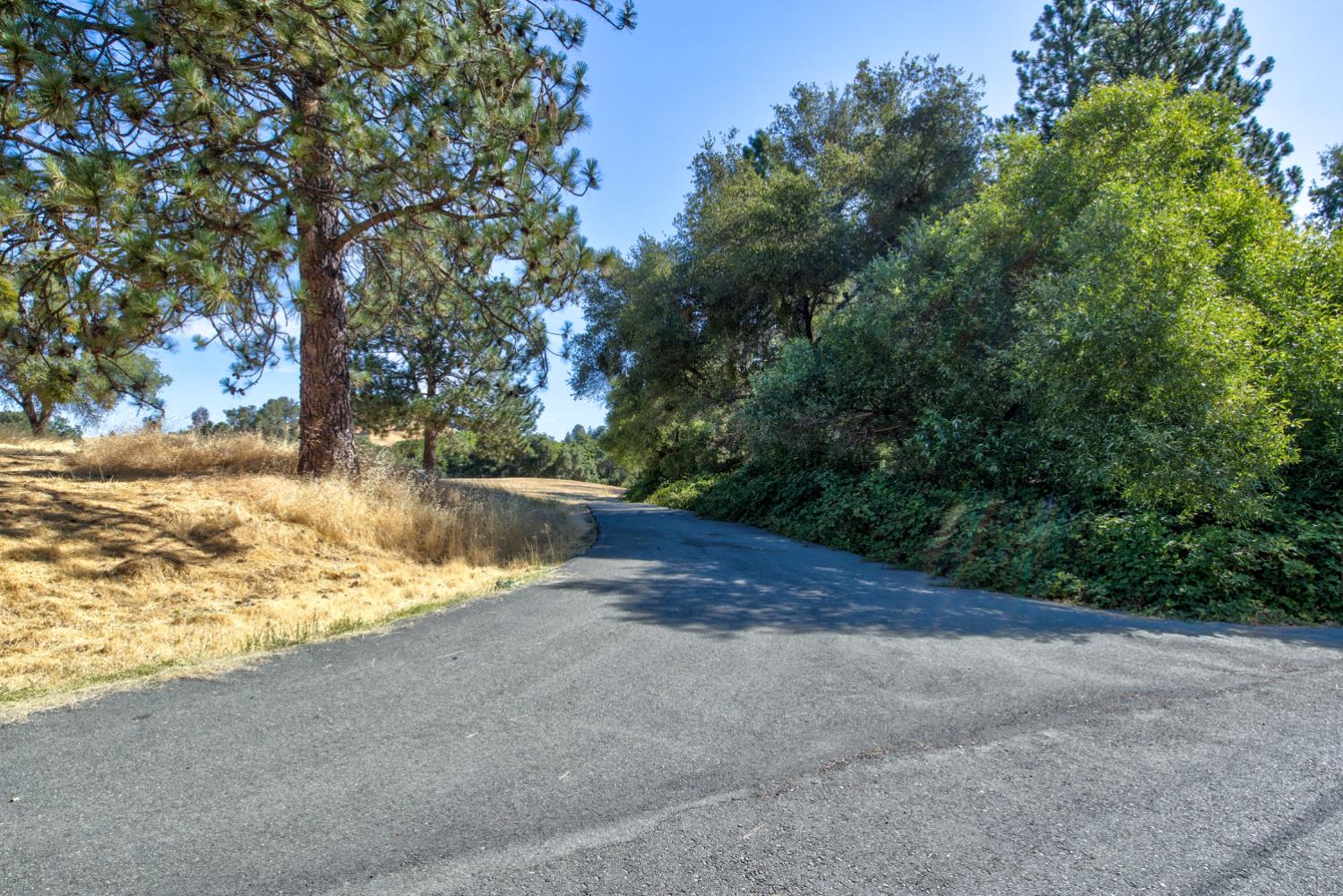 13555 Oakstream Road Plymouth, CA 95669 - Photo 10 of 43 a view of dirt yard with large trees