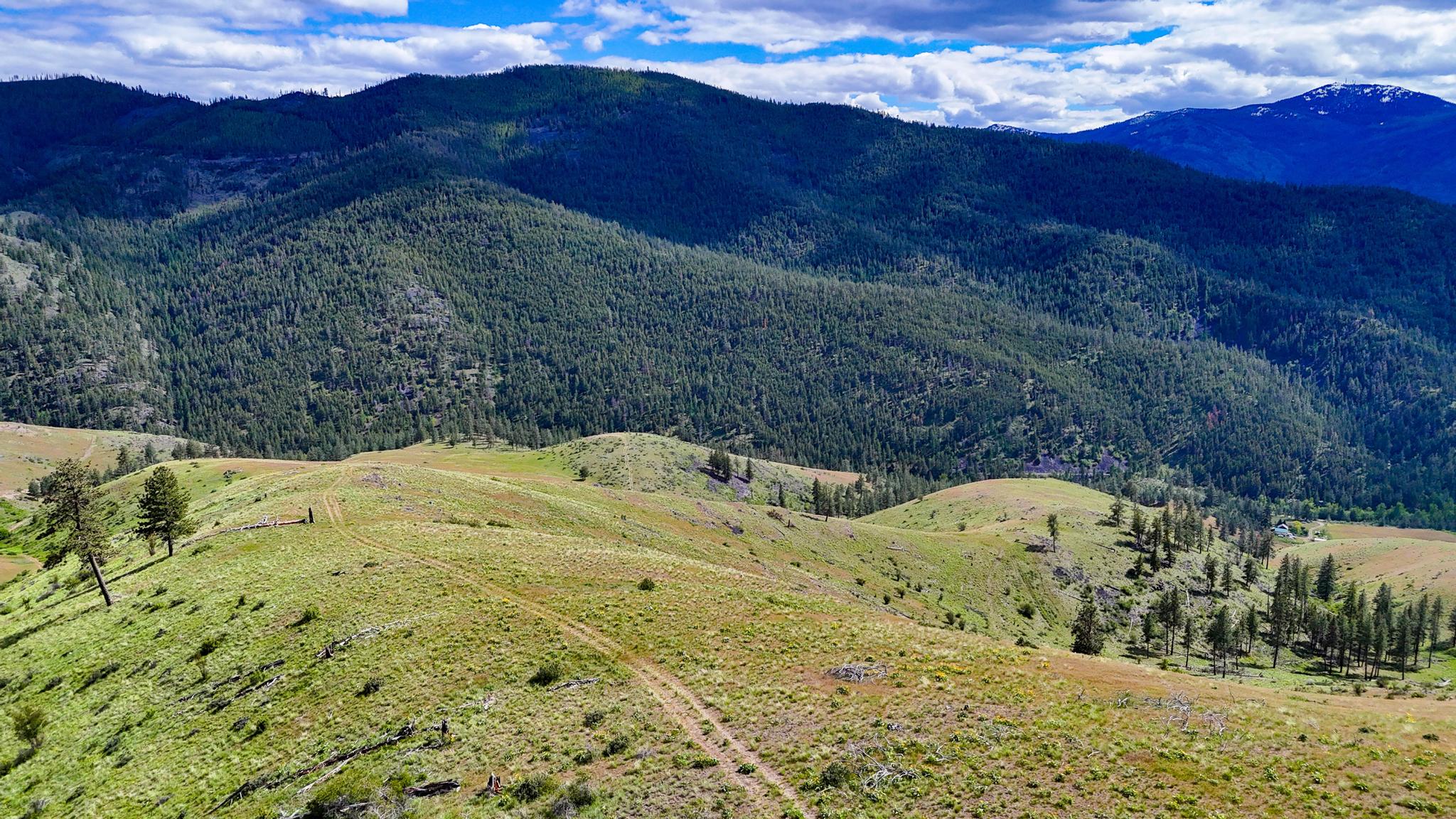 2 Henry Creek Road Plains, MT 59859 - Photo 18 of 40 Gallery Image 18