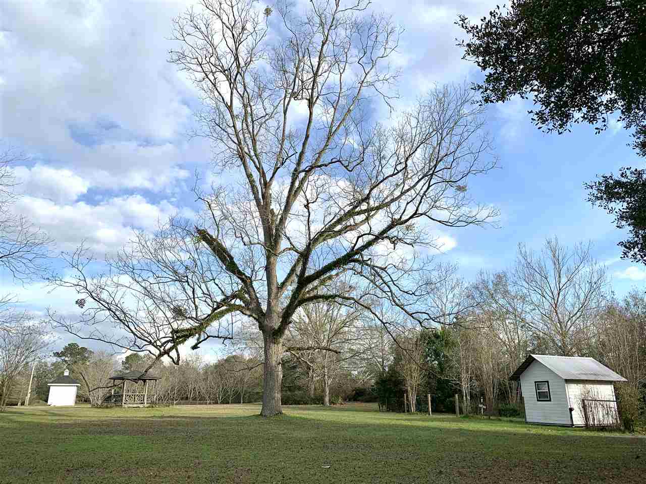 647 Miller Road Havana, FL 32333 - Photo 21 of 36 Gallery Image 21