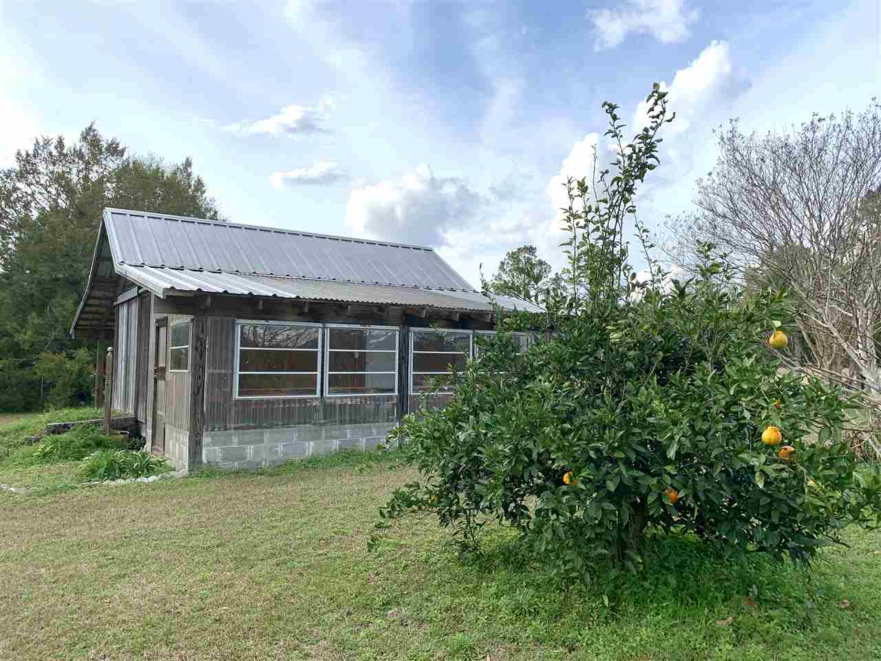 647 Miller Road Havana, FL 32333 - Photo 23 of 36 Gallery Image 23
