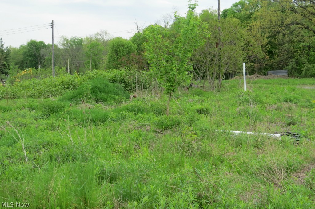 2051 Cunningham Road Salem, OH 44460 - Photo 10 of 12 Gallery Image 10