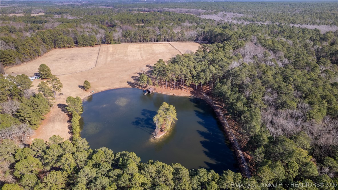 Good Barn Road Vass, NC 28394 - Photo 6 of 15