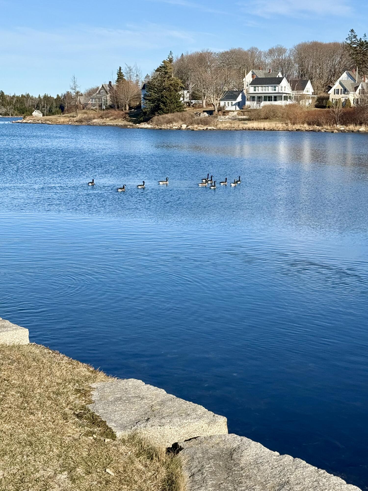 10 West Main Street Vinalhaven, ME 04863 - Photo 18 of 23 IMG_4449