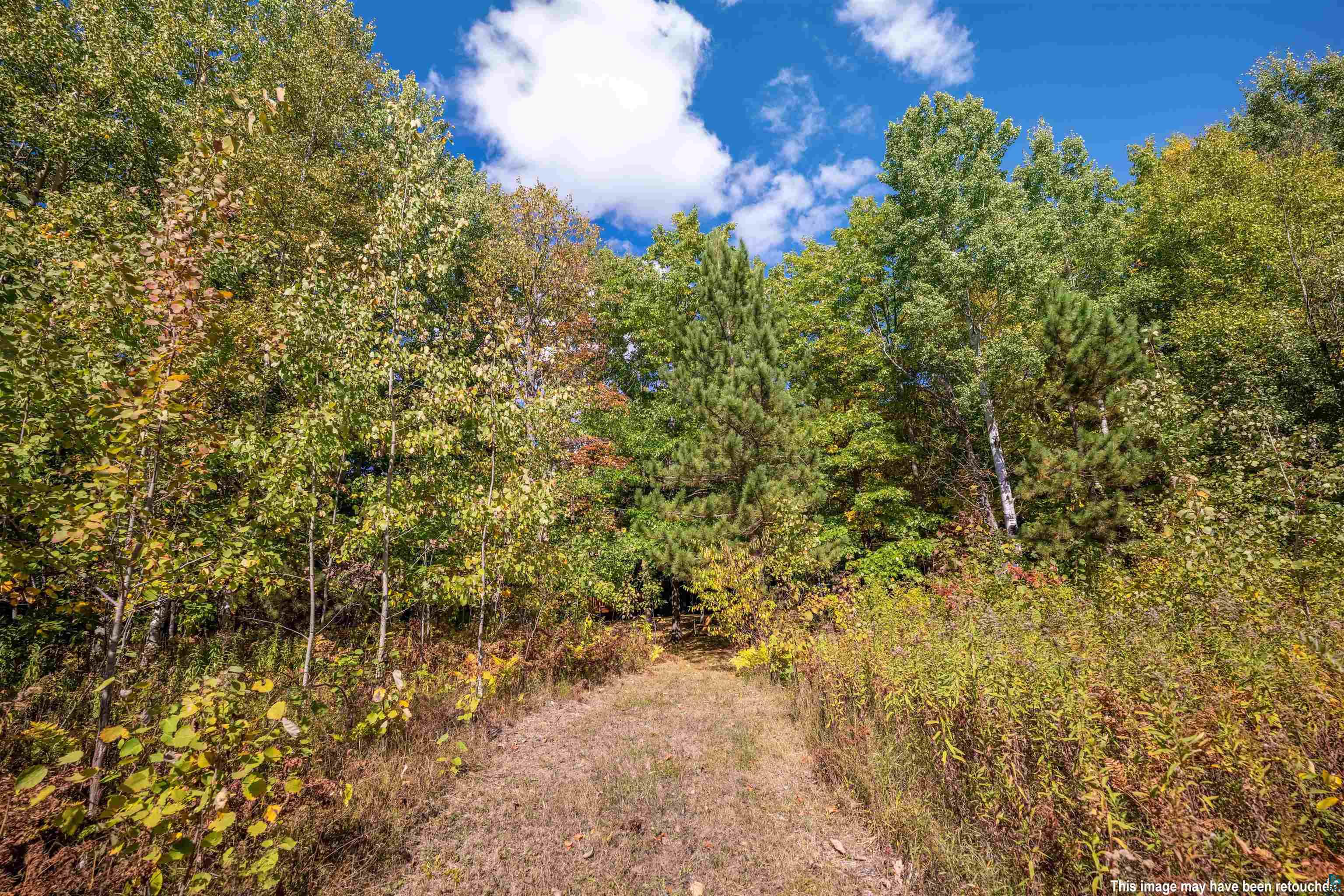 38274 Tober Road Marengo, WI 54855 - Photo 40 of 50 Gallery Image 40