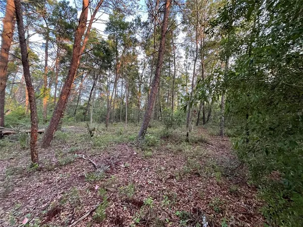$15,500 | Tbd Twin Lakes Road, Interlachen, FL 32148