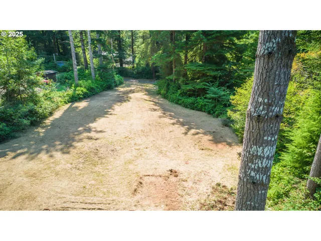 a open area with trees in the background