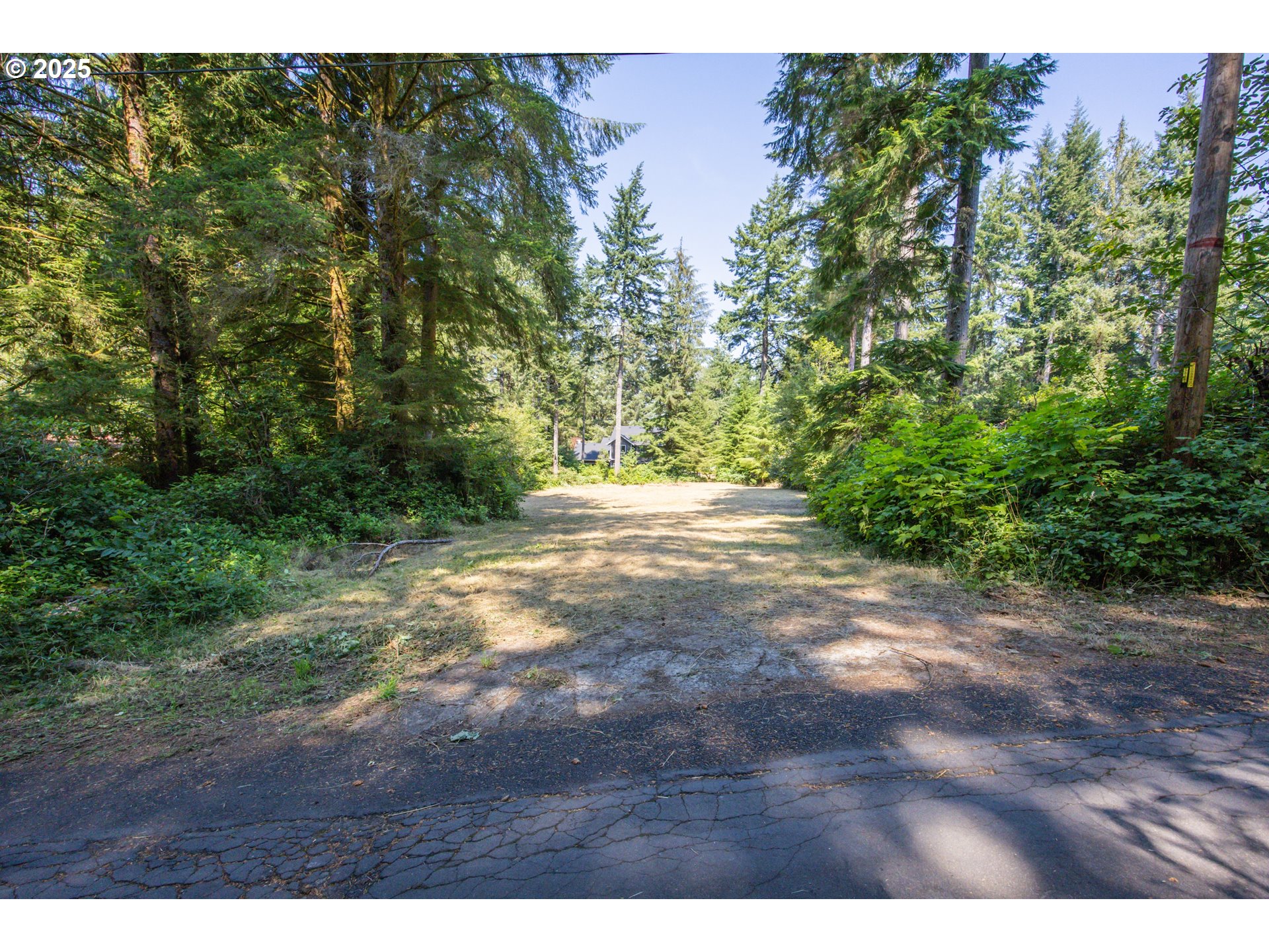 Woahink Drive, Unit TL6501 Florence, OR 97439 - Photo 3 of 20