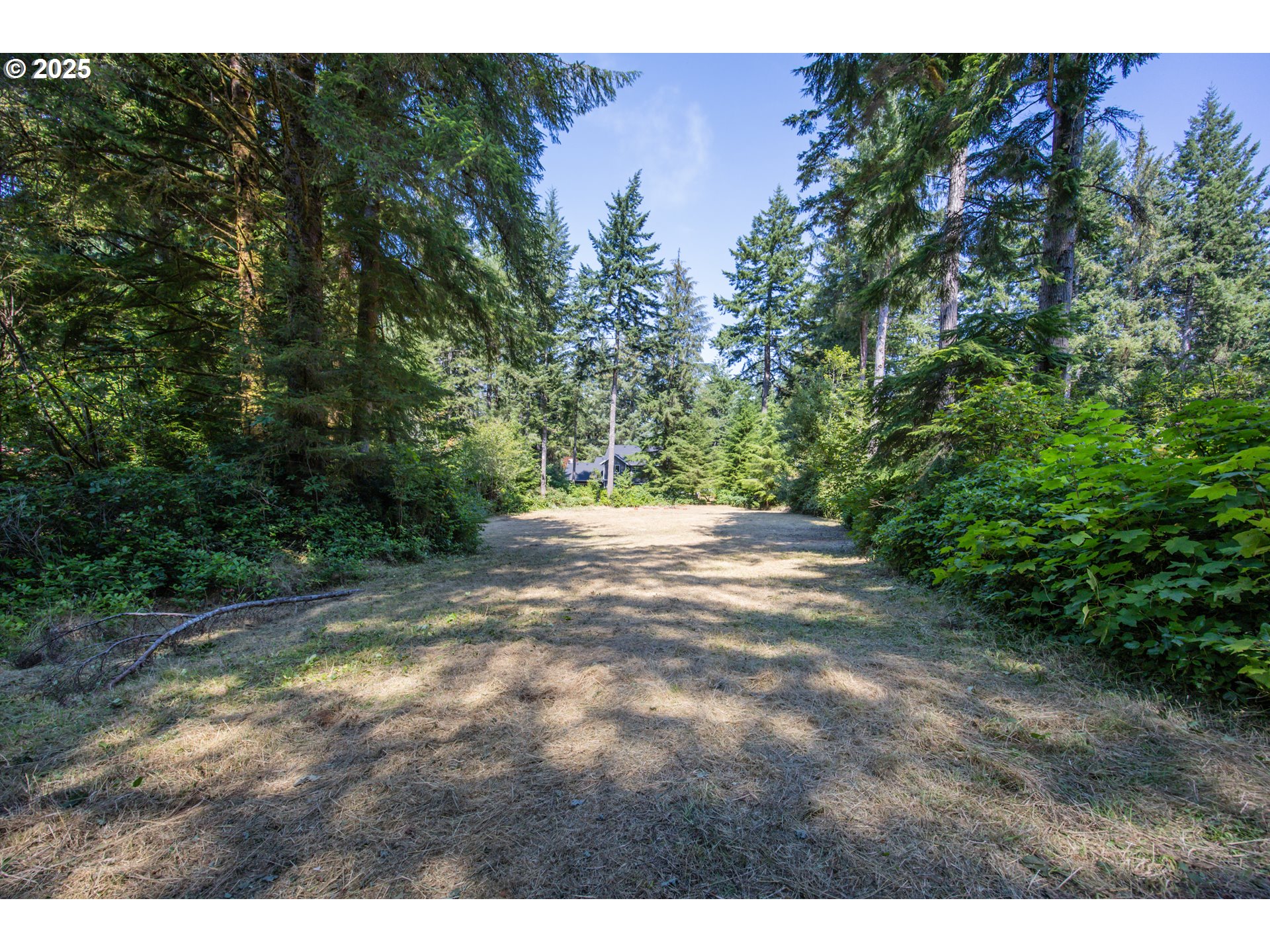Woahink Drive, Unit TL6501 Florence, OR 97439 - Photo 4 of 20
