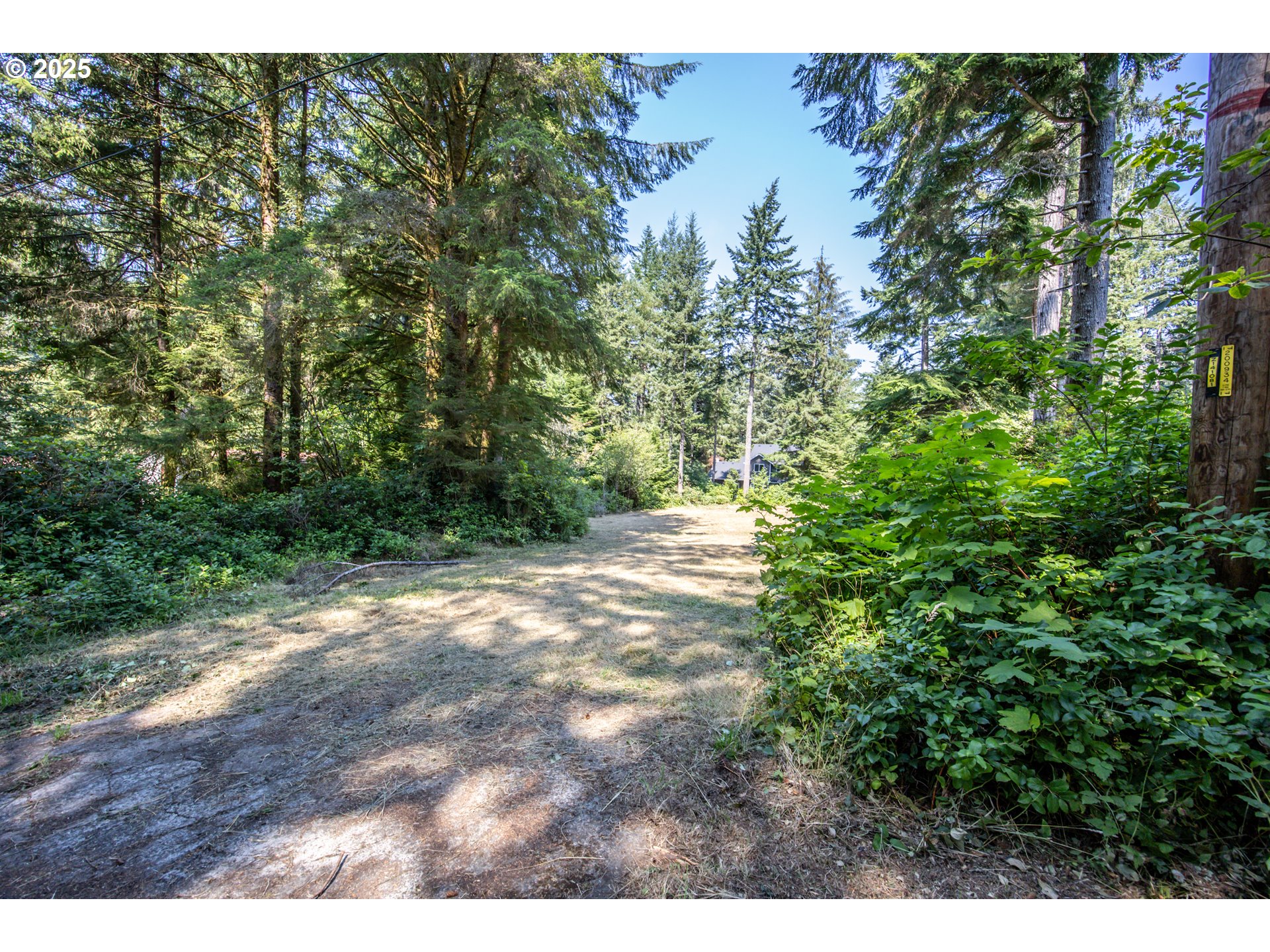Woahink Drive, Unit TL6501 Florence, OR 97439 - Photo 6 of 20