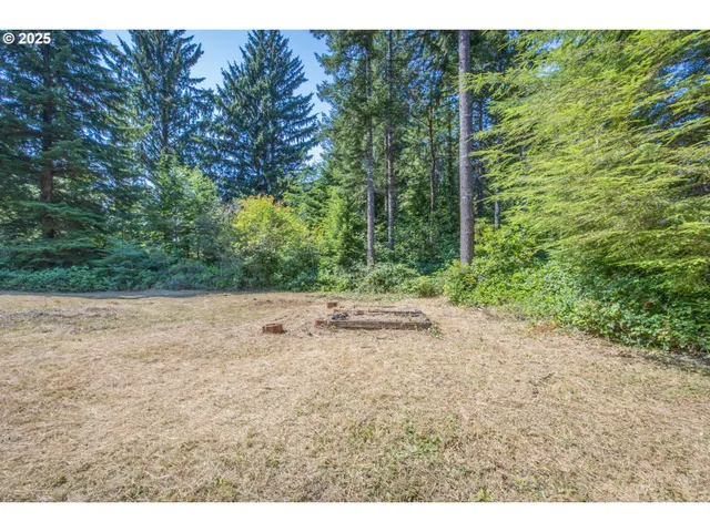 a view of outdoor space and yard