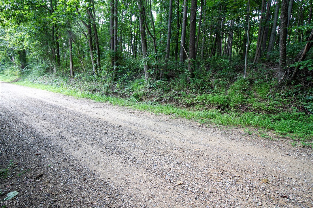 Union Hill Road Kimbolton, OH 43749 - Photo 22 of 24 View of street