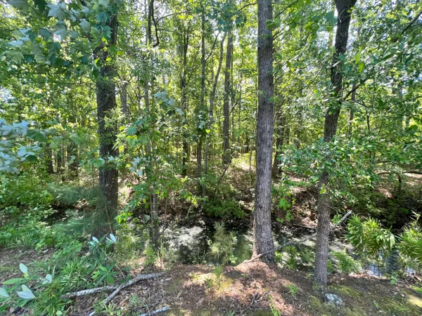$2,000 | 205 Jackson Street, Goose Creek, SC 29445