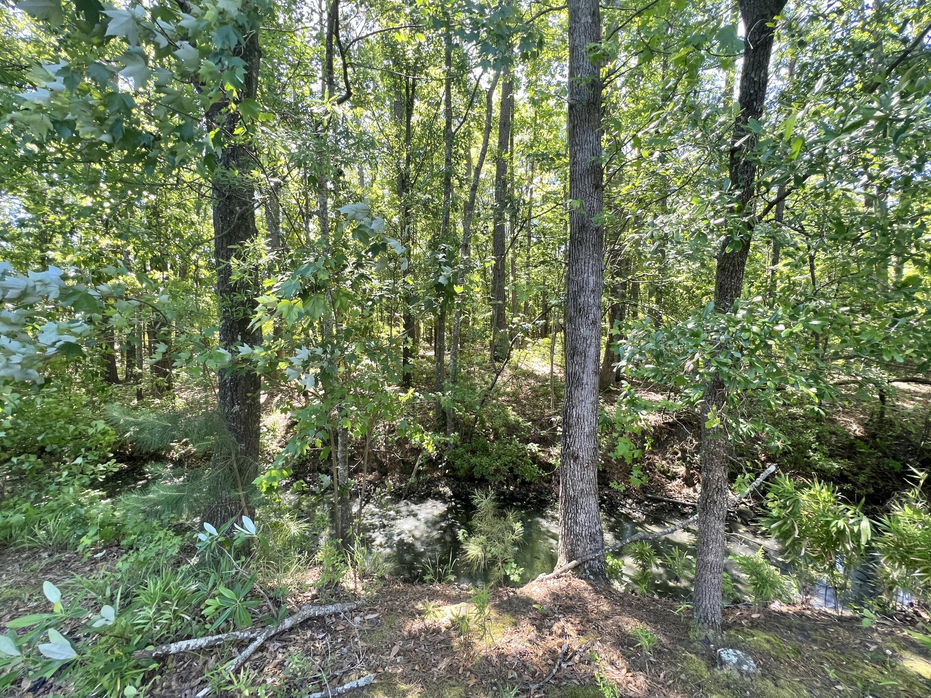 205 Jackson Street Goose Creek, SC 29445 - Photo 17 of 20 IMG_2963